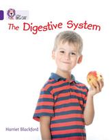 Digestive System