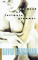 Book of Intimate Grammar