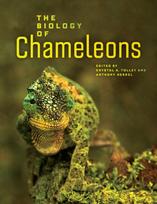 Biology of Chameleons
