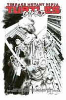 Teenage Mutant Ninja Turtles, Vol. 1: Return to New York