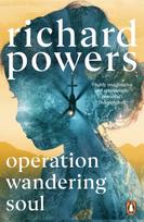 Operation Wandering Soul