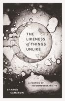 Likeness of Things Unlike - Minkštas viršelis