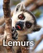 Lemurs