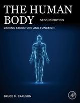 Human Body