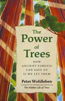 Power of Trees