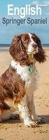 English Springer Spaniel  Slim Calendar 2026  Dog Breed Slimline Calendar - 12 Month