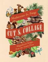 Cut & Collage Mushrooms and Fungi