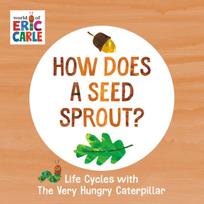 How Does a Seed Sprout?