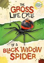 Gross Life Cycle of a Black Widow Spider