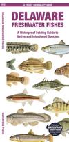 Delaware Freshwater Fishes