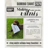 Laikraštis VILNIS