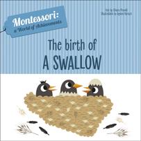 Birth of a Swallow
