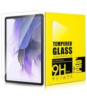 LCD apsauginis stikliukas 9H Xiaomi Redmi Pad 2 Pro 12.1