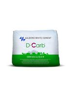 Baltas cementas Aalborg White 25 kg