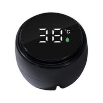 Water Temperature Meter With Sensor LED Smart Digital Display Real-time Monitoring Tools Bath Water Household Thermometer China Mainland