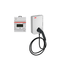 ABB TERRA AC 11kw 5m v2.0+DLM