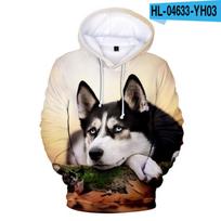 Animal Dog Hasky 3D Print Oversized Moterų / Vyrų megztinis Megztinis Streetwear Hip Hop Megztinis Striukė su gobtuvu Vyriška laisvalaikio sportinė apranga 4XL