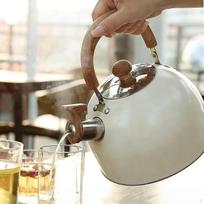 2,5 l arbatinukas, gėrimų ąsotis, vandens arbatinukas restoranui, namams, biurui balta