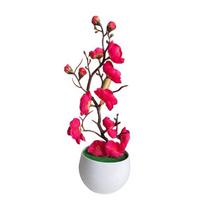 1 vnt. dirbtinė gėlė maža slyvos vazoninis augalas namų minkštas dekoras ornamentas slyvos žiedas bonsai dirbtinė netikra gėlė balta