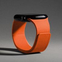 Compatible with Apple Watch Series 9 & 10: Lychee Pattern Magnetic Silicone Sport Band 22mm oranžinė