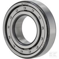 Roller guolis 1000225722