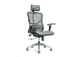 Ergonomiška biuro kėdė ERGO 500 pilka