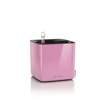 Vazonas Lechuza Cube Glossy Kiss 14, sweet candy, 13513
