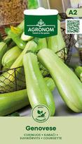 Daržovių sėklos, AGRONOM cukinijos GENOVESE, 1,5 g.