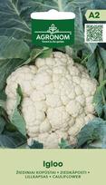 Daržovių sėklos, AGRONOM kopūstai žiediniai IGLOO, 0,5 g.