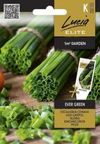 Prieskonių sėklos, LUCIA ELITE ELN česnakai tuščialaišk. EVER GREEN, 2 g., K
