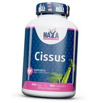 Cissus Extract, Cissus 500, Haya 100caps (71405049) 100caps