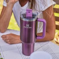 Stanley Adventure Series H2.0 Termosinis puodelis su šiaudeliu