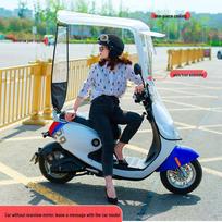 Elektrinio motociklo stogelis: Vėjui, saulei ir žiemai atsparus markizė Long/With Mirror Model