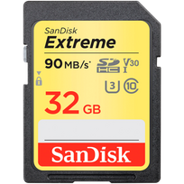 MEMORY SDHC 32GB UHS-1/SDSDXVT-032G-GNCIN SANDISK|SDSDXVT-032G-GNCIN