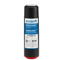 Ecosoft IX RESIN Na pakaitinis filtras vandens minkštinimui 2,5"x10"