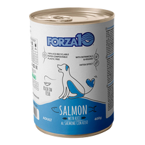 FORZA10 MAINTENANCE, lašiša su ryžiais, šunims šlapias maistas, 400 g
