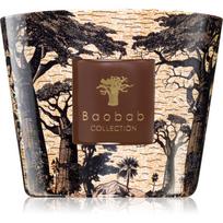 Baobab Collection Sacred Trees Mankono kvapioji žvakė 500 g