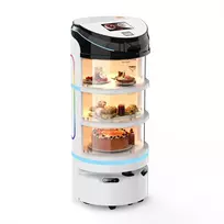 Maisto pristatymo robotas – Reeman R1D1