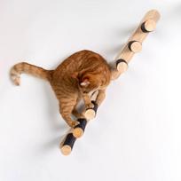 Laipiojimo kopėčios katėms 2vnt. | RHR Pets Wall Ladder Blackline