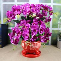Phalaenopsis dirbtinių gėlių kompozicija raudoname keramikos vazone patalpų dekoravimui arba vestuvėms violetinė