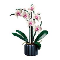 Rožių puokštė, orchidėja, vazoniniai augalai, žaislai DIY10328, augalai vazonuose, iliustracijos, draugės gimtadienis, šventinės dovanos no  box