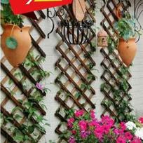 Reguliuojama antikorozinė medinė sodo tvora ir dekoratyvinis laipiojimo tinklas patalpoms Green Vine 3 pcs for 10 units