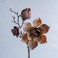 Prabangus dirbtinis magnolijos šakelė Realus prisilietimas Elegantiška simuliacija Didelė magnolija Realistiškas rankų darbo netikras gėlė Mokytojų diena raudona