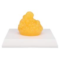 Human Body Fat Replica Human Fatty Tissue Demonstration Model Weight Reduction Motivation for Nutritionist Anatomical