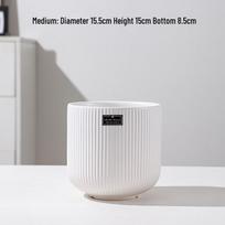 Elegantiškas baltas keramikinis vazonas svetainei – Didelio skersmens Phalaenopsis ir Sansevieria Ceramic
