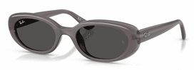 Universalus Akiniai RAY-BAN RB4441D 677787