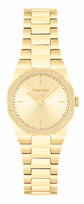 Moteriškas Laikrodis CALVIN KLEIN Geometric 25100142