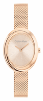 Moteriškas Laikrodis CALVIN KLEIN Twisted Bezel 25100153