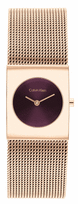 Moteriškas Laikrodis CALVIN KLEIN Pulse 25100137