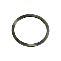 ADJUSTING WASHER,REAR GEARBOX, 260590009-0001